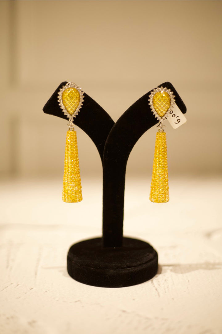 Pretty Teardrop Long Dangler Earrings